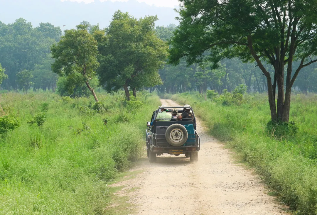 Top 5 Wildlife Photography Tips for Indian Safaris