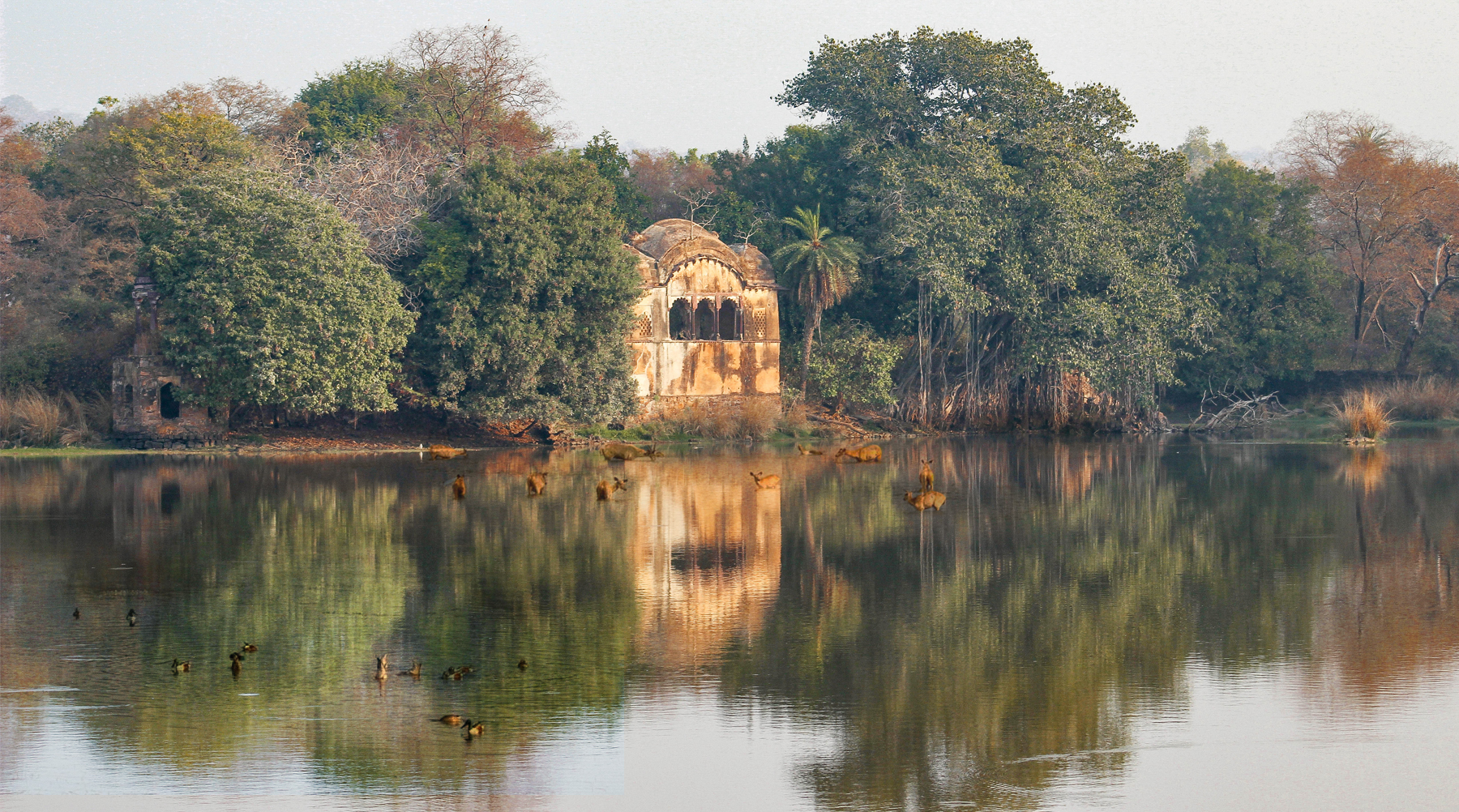 Raj Bagh Ruins