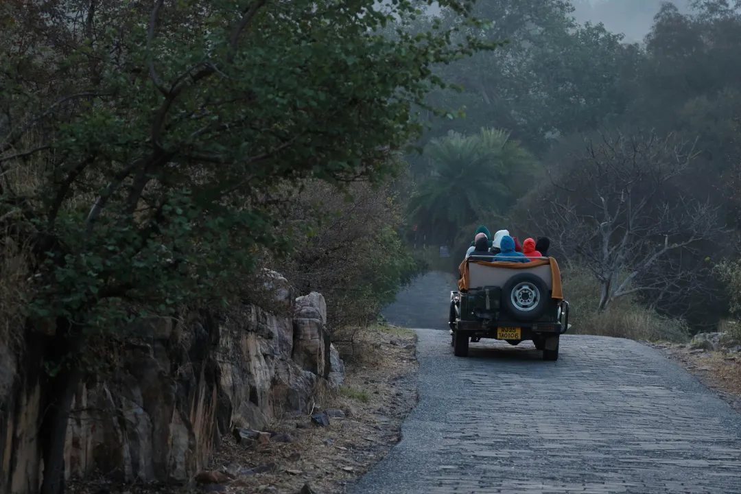 Ranthambore Zone 2