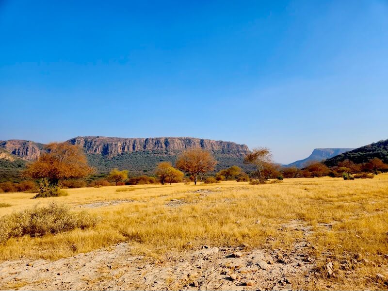zone 6 Ranthambore National Park